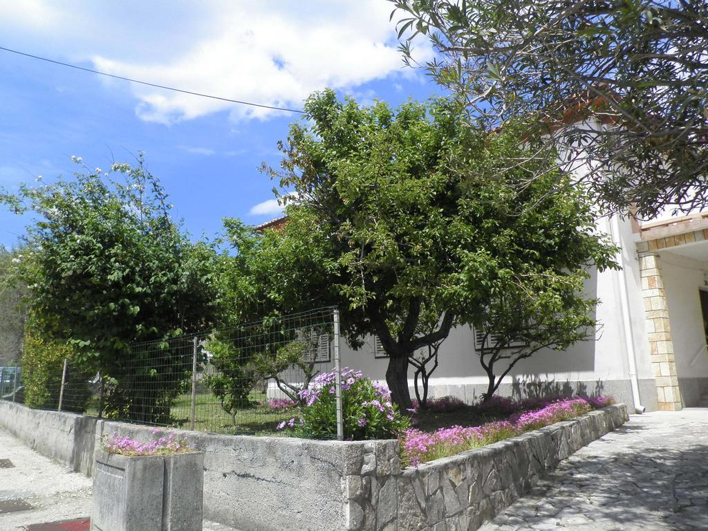 Rooms Pipo Банёл Экстерьер фото